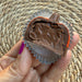 Chocolate Pumpkin
