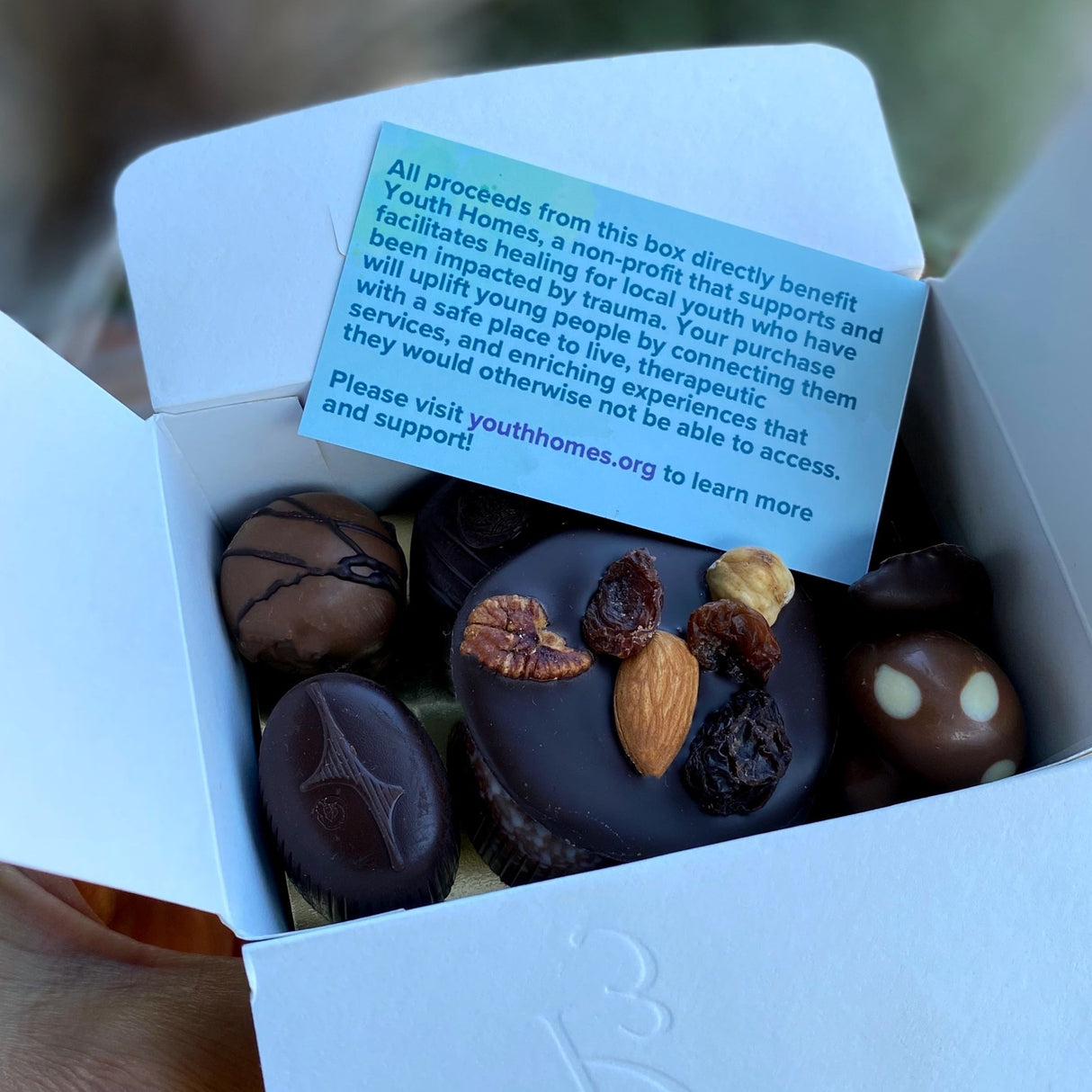 Youth Homes Donation -- 1/2 lb box Assorted Chocolates - Love + Chocolate