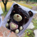 Bear Lollipop Collection