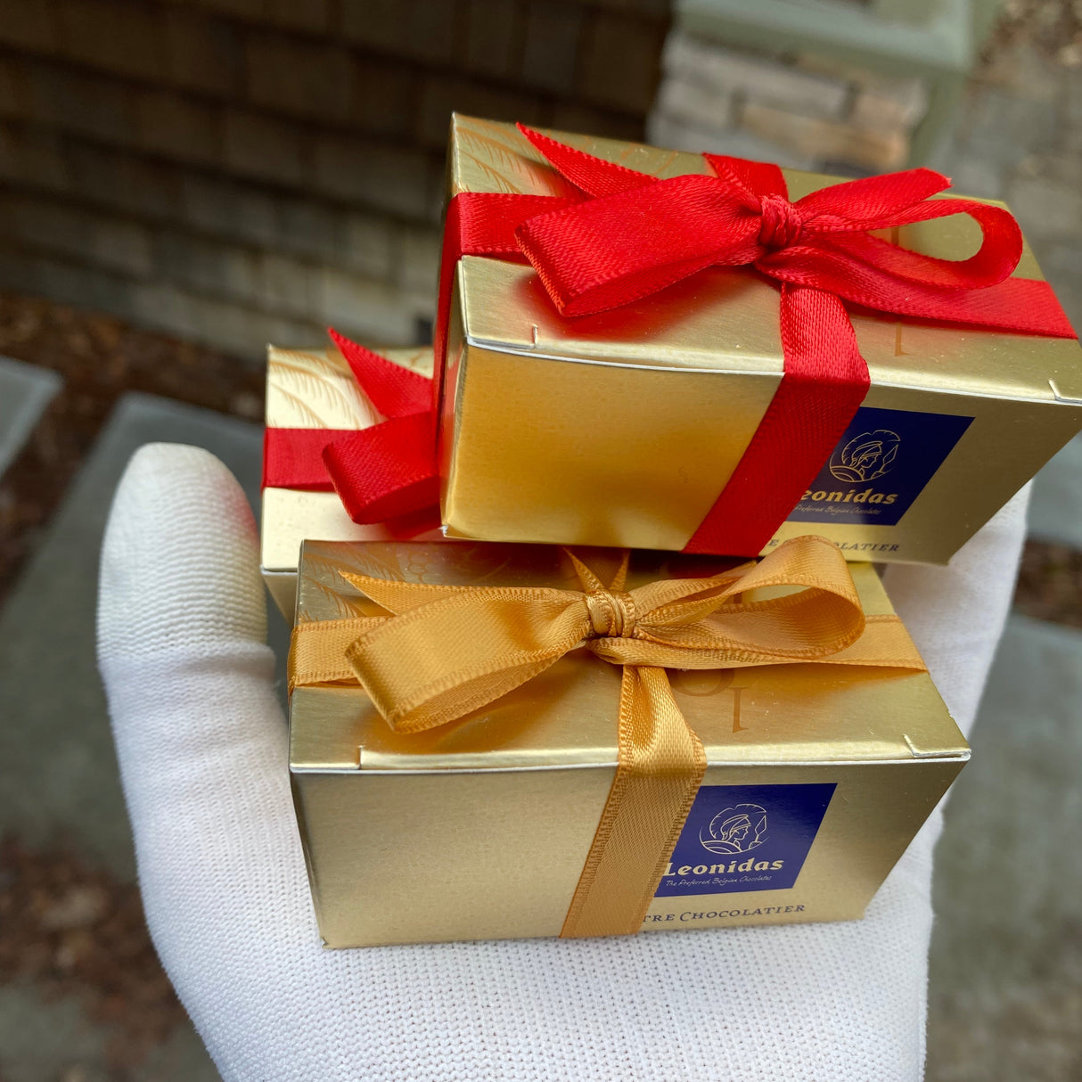 Leonidas USA shipping 2 piece gift