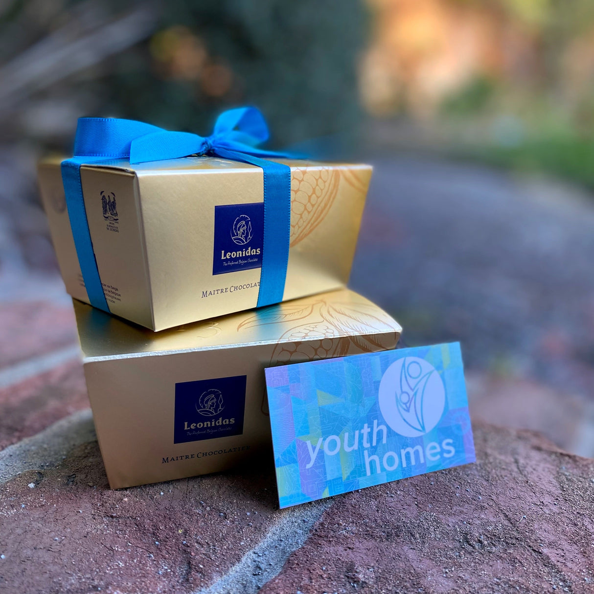 Youth Homes Donation -- 1/2 lb box Assorted Chocolates - Love + Chocolate